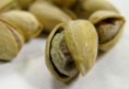Pistachos